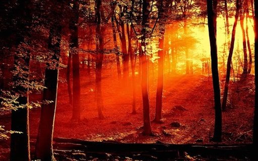 Sun rise Live Wallpapers截图8