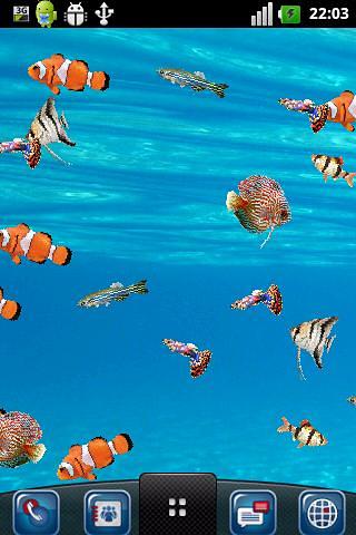 My Personal Aquarium Wallpaper截图4