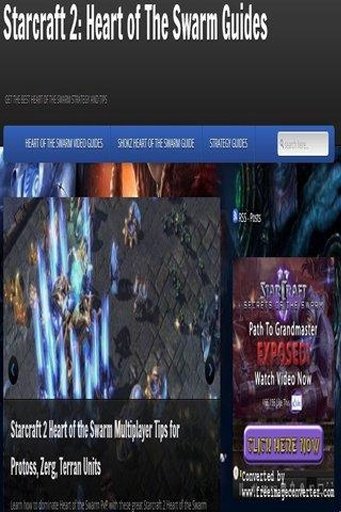 Starcraft 2 HoS Strategy Guide截图2