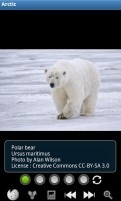 Arctic截图1