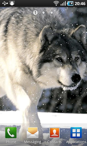 Wolf in snow截图2