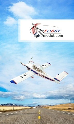 FLIGHT MODEL截图2