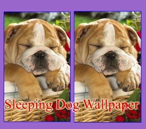 Sleeping Dog Wallpaper截图3