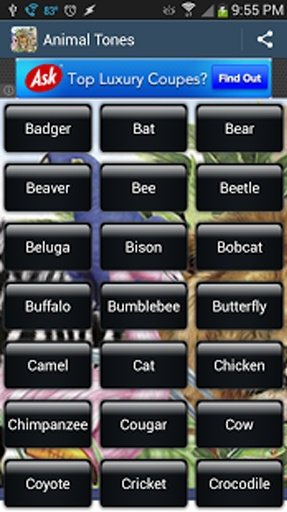 Animal Ringtone Sounds Free截图3