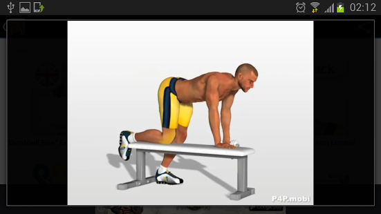 身体健美肌肉锻炼视频截图3