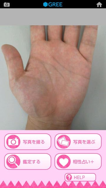 运命の手相占い -Palmistry-截图3