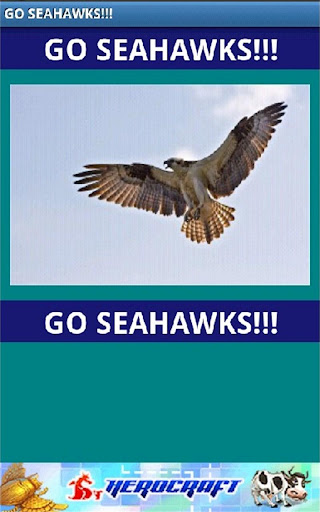 Go Seahawks!截图1