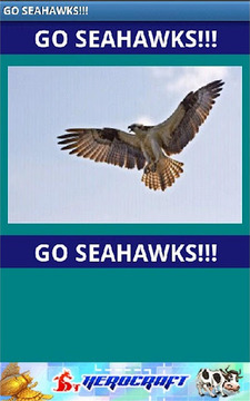 Go Seahawks!截图