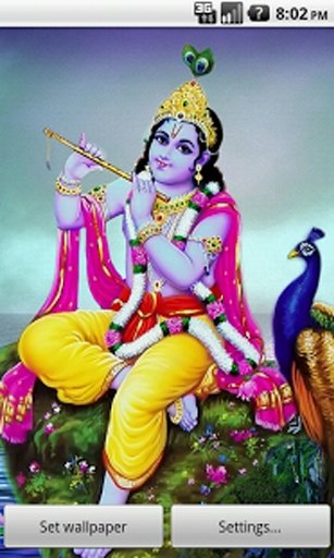 Krishna Darshan Live Wallpaper截图3