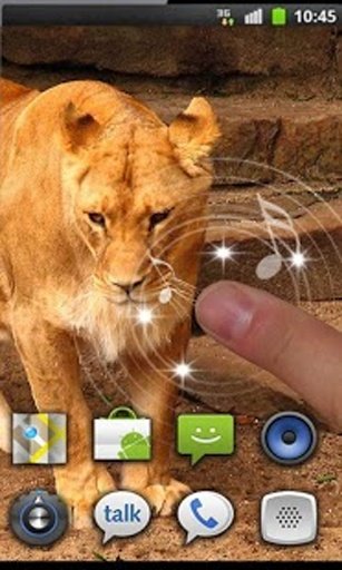 Savanna Lion HD live wallpaper截图5