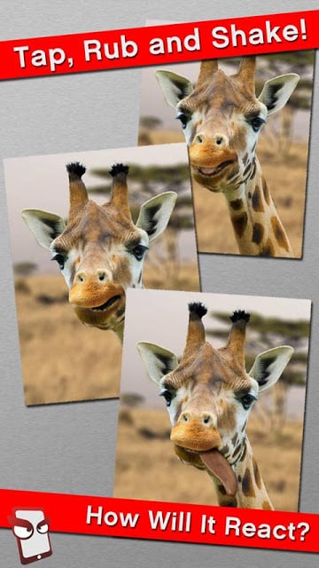 Angry Giraffe Free!截图1