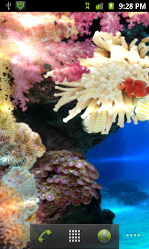 Tropical Coral Reef Watery LWP截图3