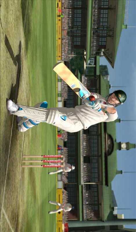 cricket2013截图4