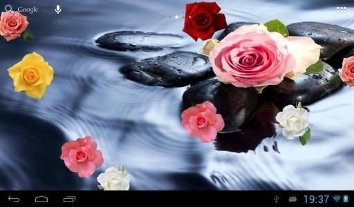 Floating roses截图2