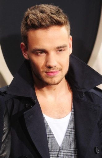 Liam Payne Gallery 1 Direction截图6