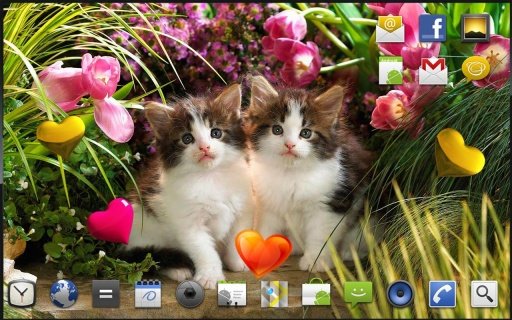 Kitty Princess live wallpaper截图3