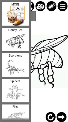 绘制昆虫截图4