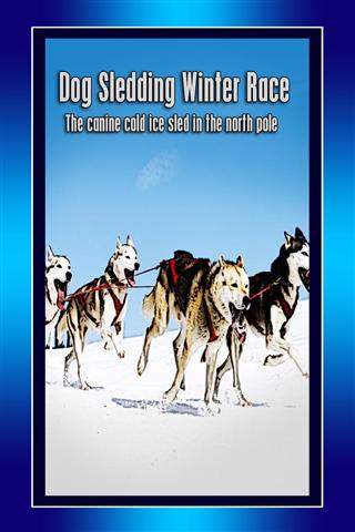 狗拉雪橇冬季赛 Dog Sledding Winter Race截图2