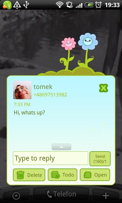 GO SMS Pro Sweet Spring Theme截图2