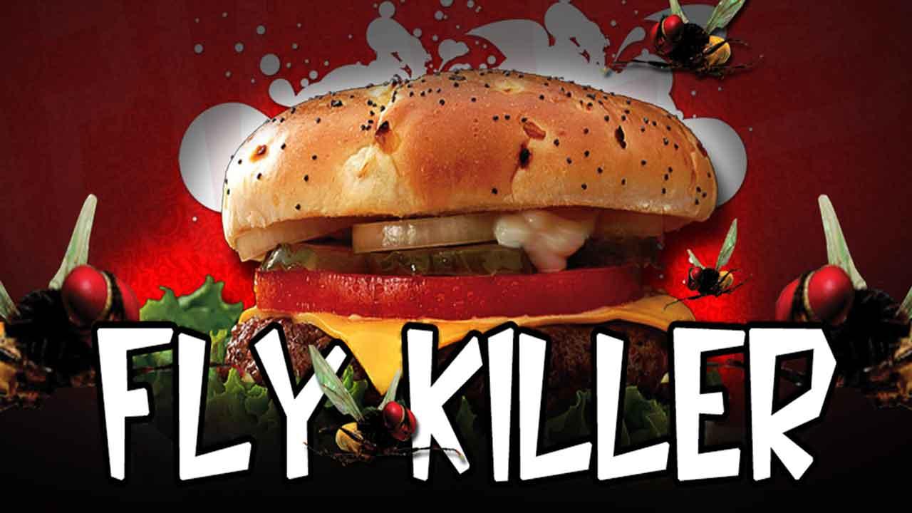 飞杀手 Fly Killer截图1