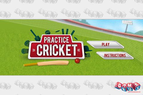Practice Cricket截图6