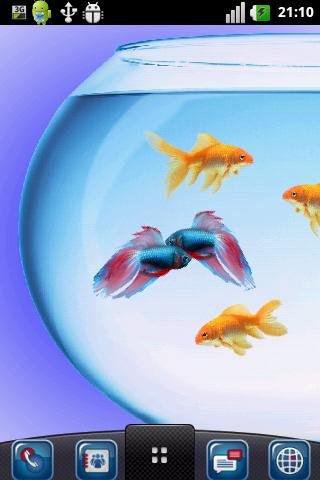 My Fish Bowl Live Aquarium截图2