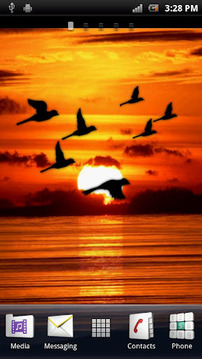 Bird Flock Live Wallpaper截图