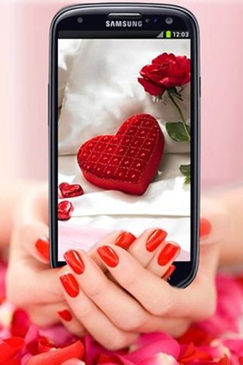 Valentines Day Wallpapers HD截图4