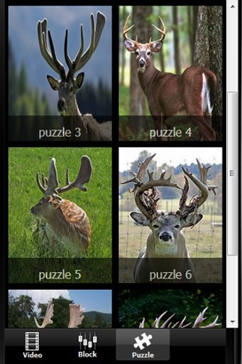 Deer Skill Hunter 2014截图3