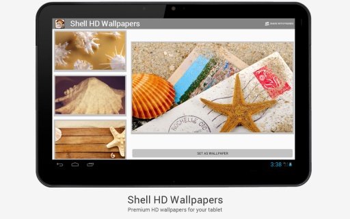 Beautiful Shell HD Wallpapers截图3