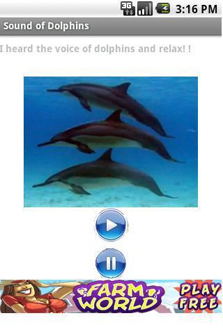 Sound of Dolphins截图1