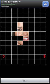 Celebrity Matrix Puzzle截图