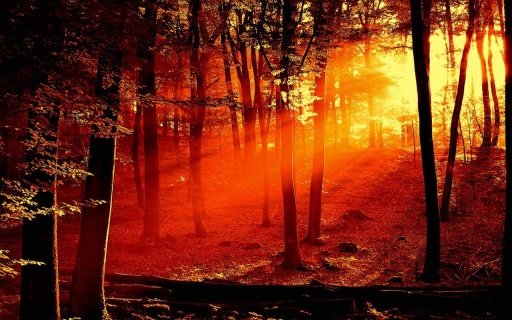 Sun rise Live Wallpapers截图1