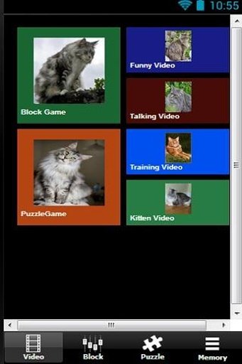 The Talking Maine Coon Cat截图2