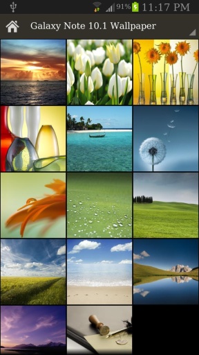 Galaxy Note 10.1 Wallpaper截图1