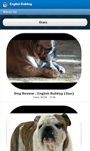 English Bulldog截图1