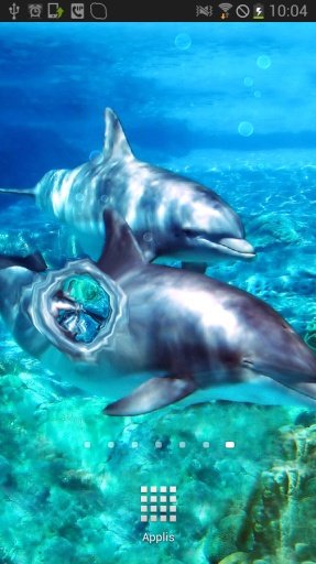 Dolphins with Bubbles LWP截图3