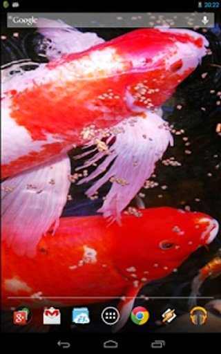 Water Effect: Bright Koi Fish截图1