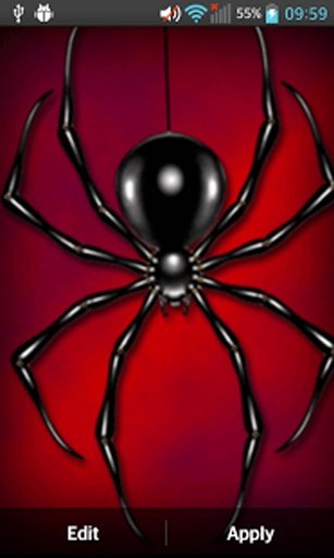 Spider Live Wallpaper截图4