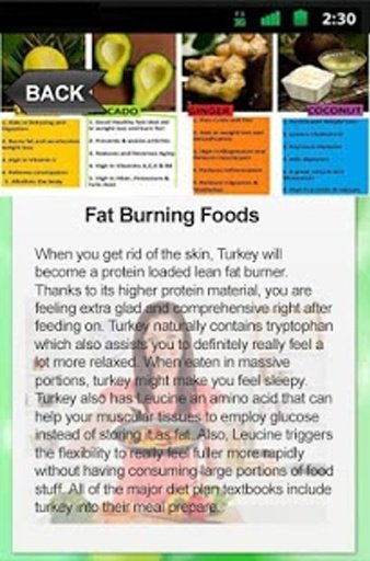 Fat Burning Foods App截图3