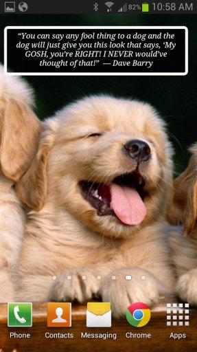 Puppies &amp; Dogs Cute Wallpaper截图5