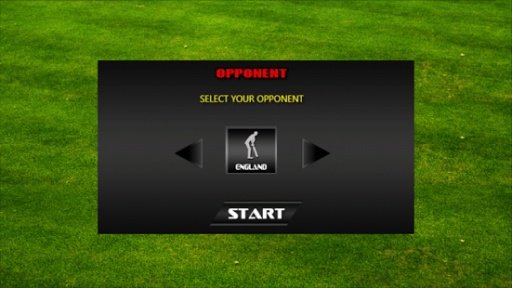 Stickman Cricket截图4