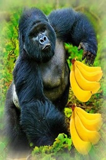 Banana Mad Kong截图5