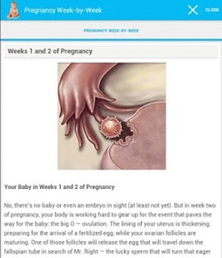 Pregnancy Week-by-Week截图1