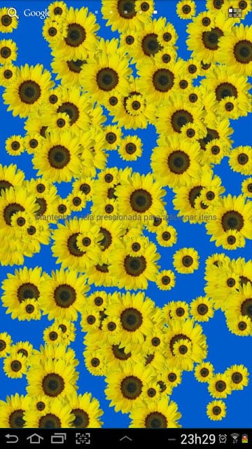 Sunflower Live Wallpaper Free截图2