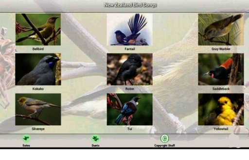 New Zealand Bird Songs截图3