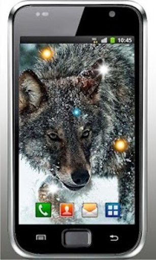 Angry Wolf HD live wallpaper截图3