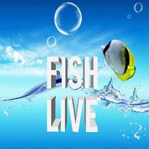 Fish Live截图3