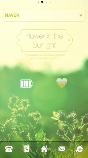 Sunlight dodol luancher theme截图1