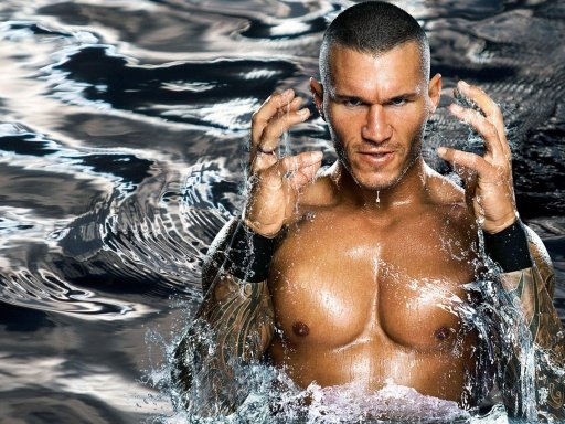 Randy Orton Wallpapers截图10